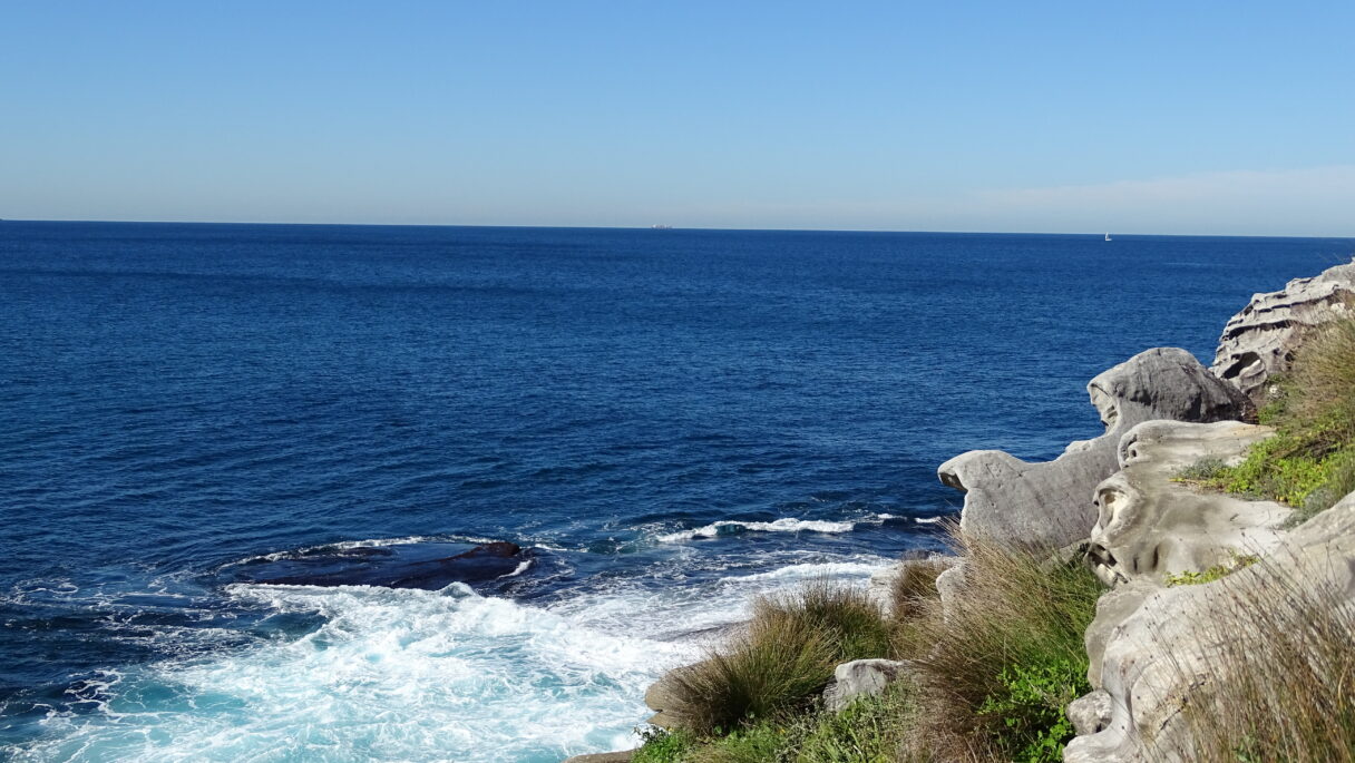 Vue sur la mer de Tasman depuis Mackenzie's Point