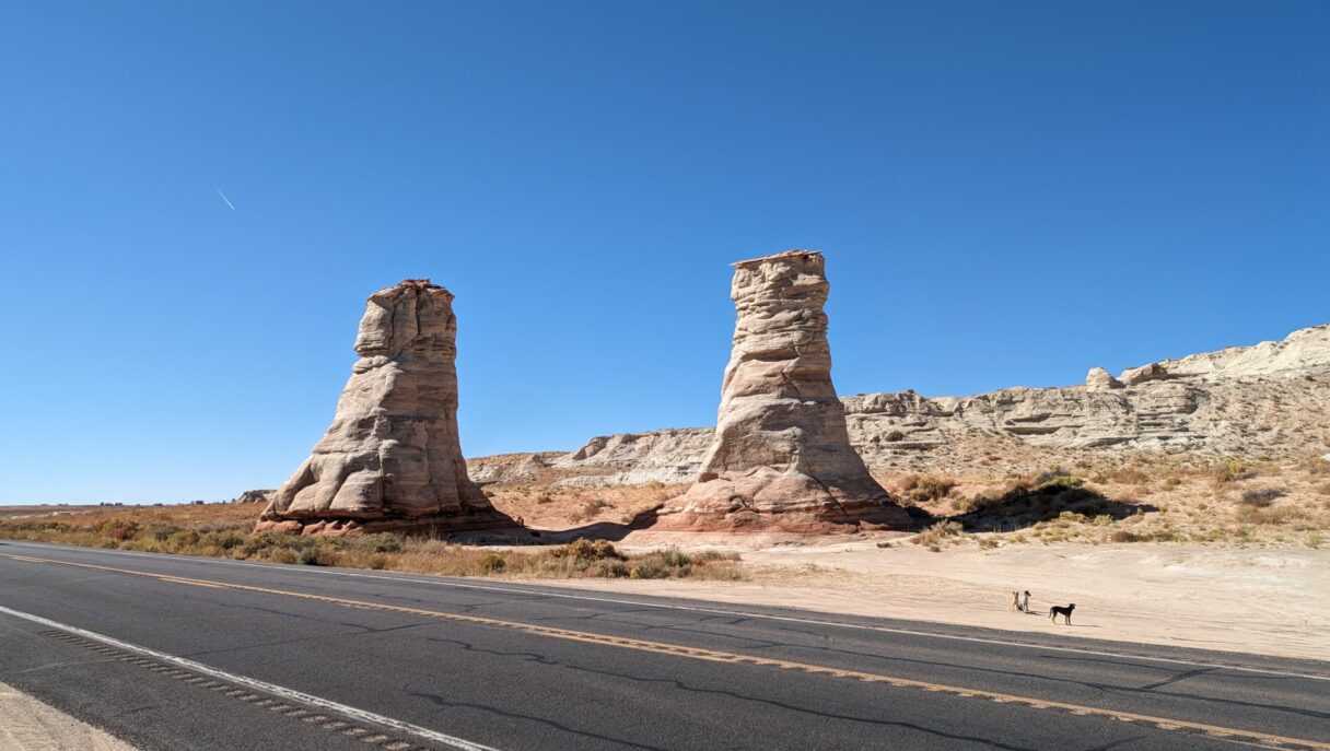 Elephant's feet