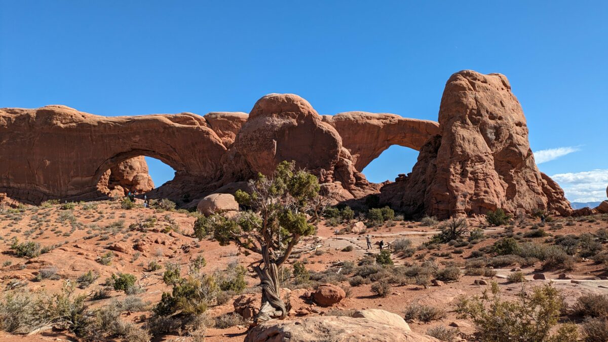 Double arche