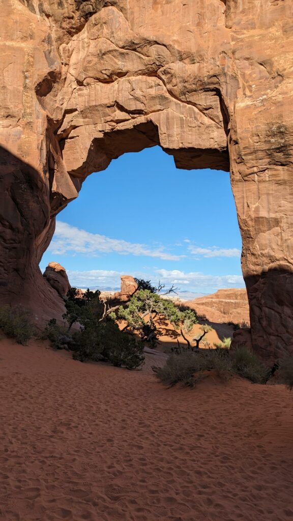 Pine Tree Arch