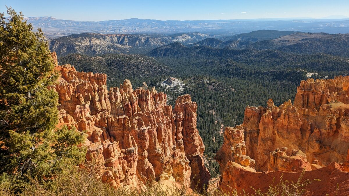 Ponderosa Canyon