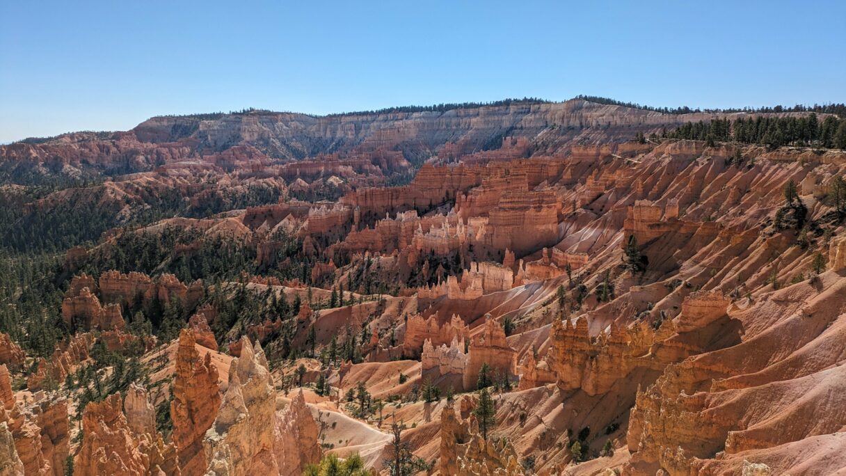 Les hoodoos vus depuis Sunrise Point