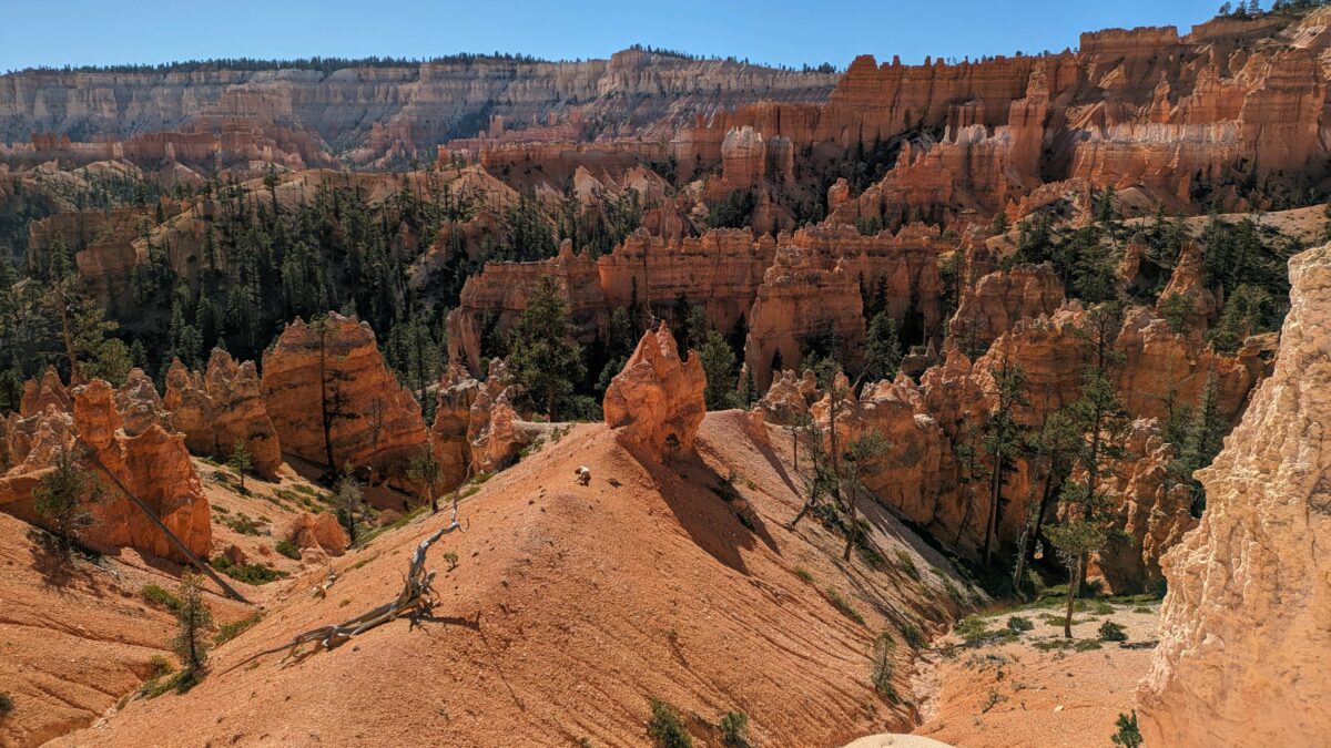 Vue sur Bryce Canyon