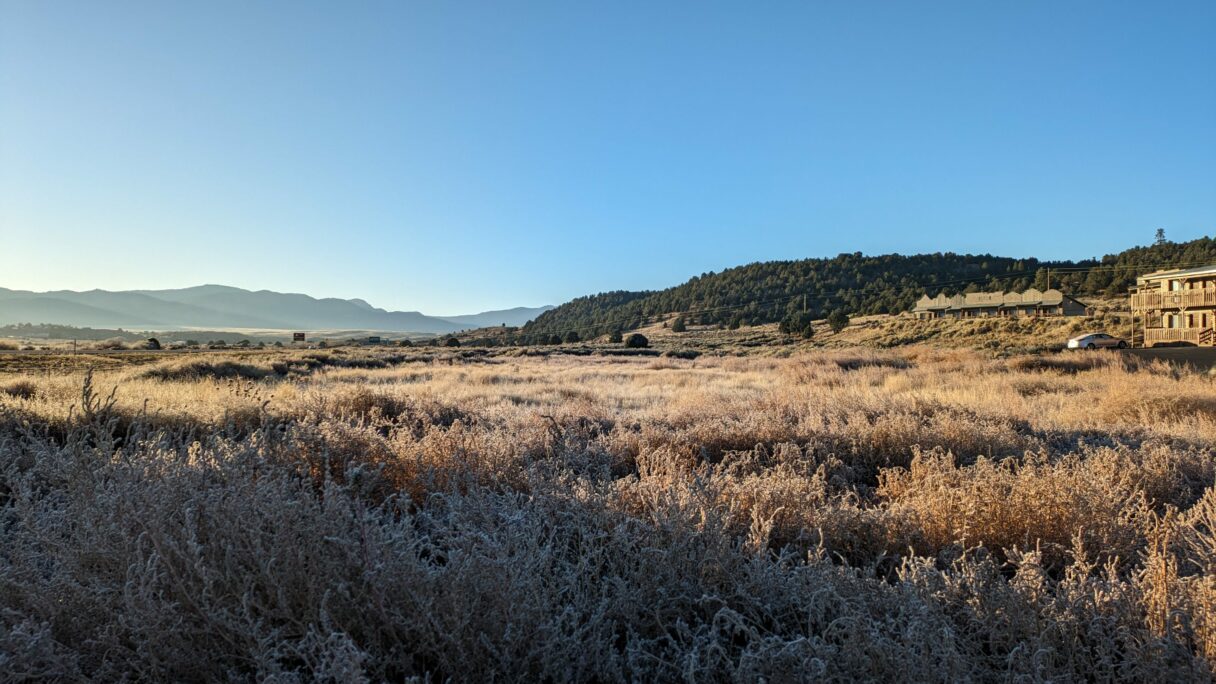 Herbes gelées près de Panguitch