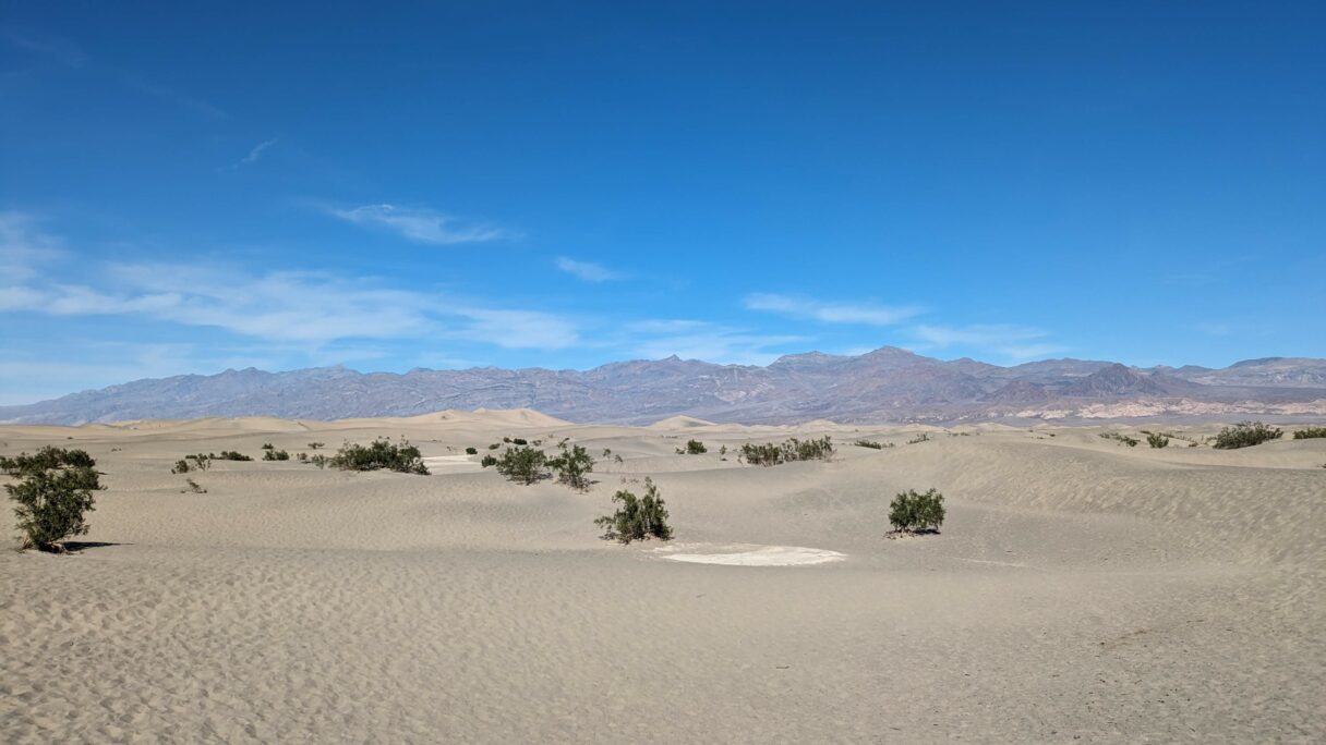 Dunes de sable de Mesquite