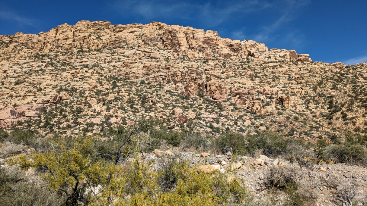 Paysages de Red Rock Canyon