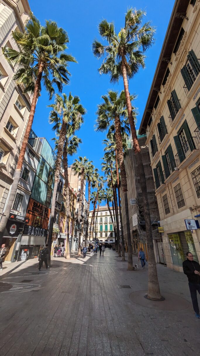 Rue piétonne de Malaga