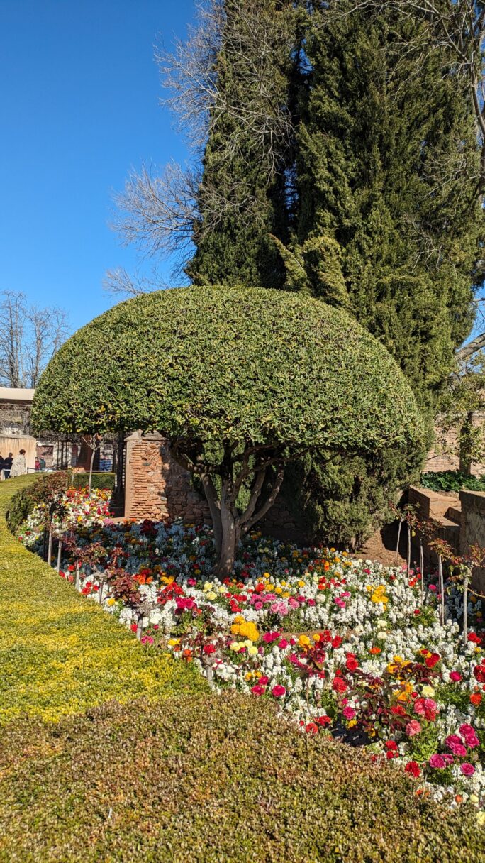 Parterre fleuri dans les jardins du generalife