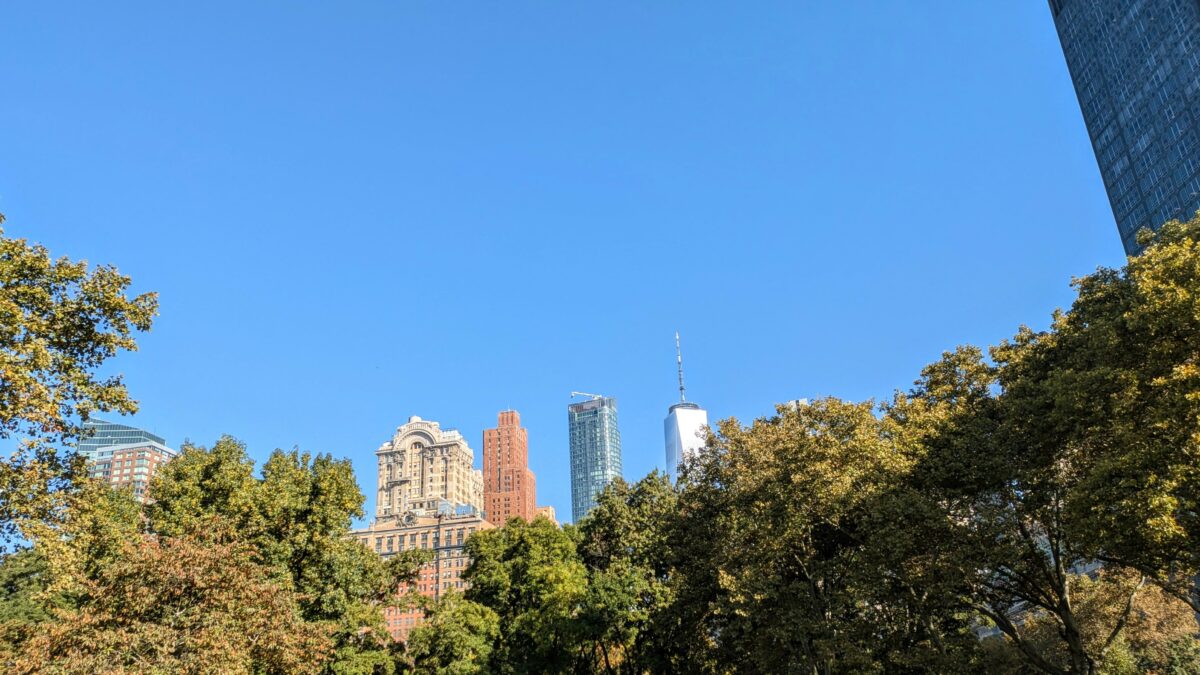 Les buildings du district financier de New York au dessus des arbres de Battery Park