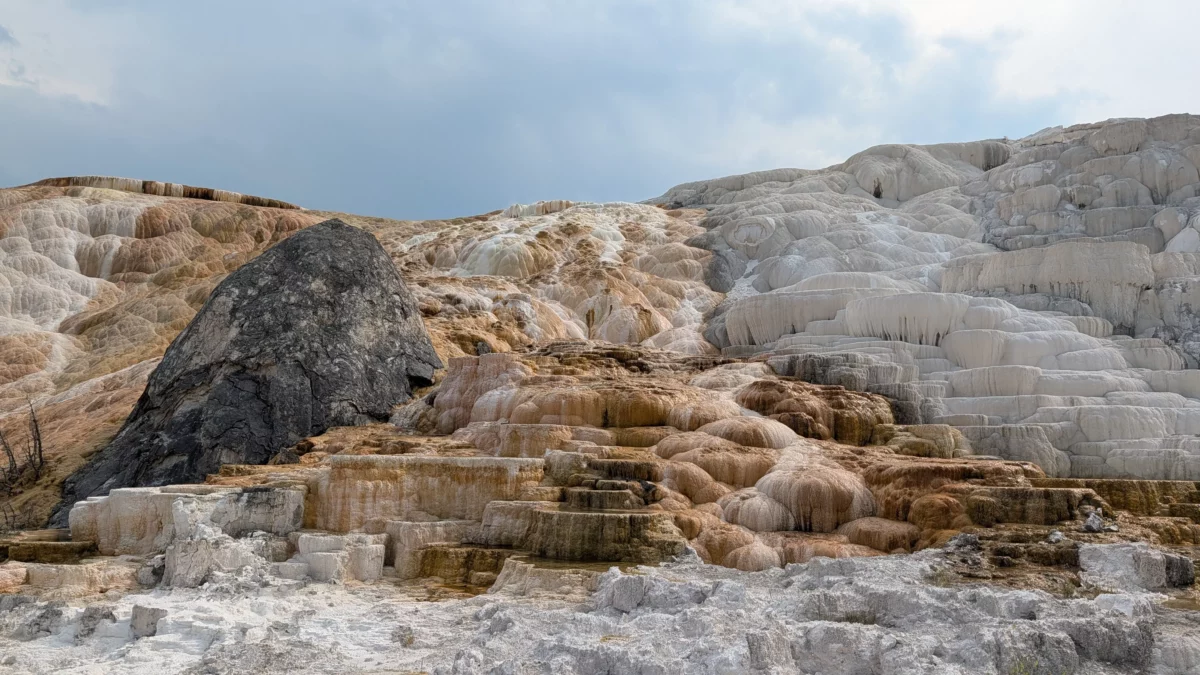 Palette Spring