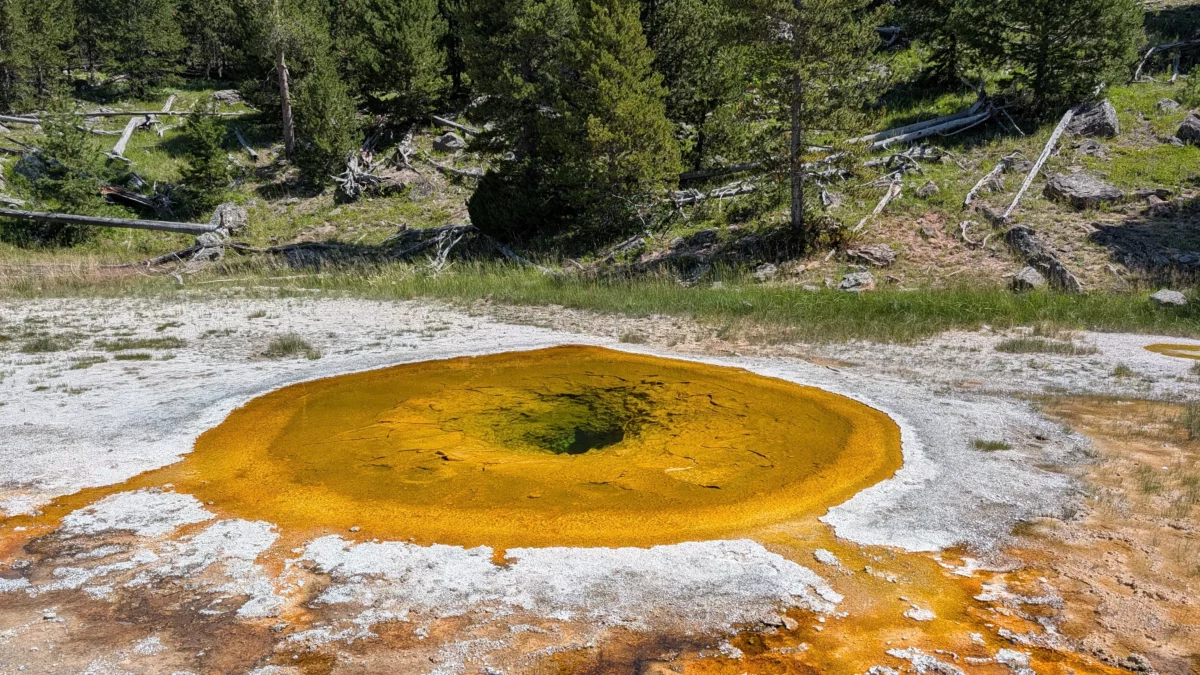 Geyser de Upper Basin