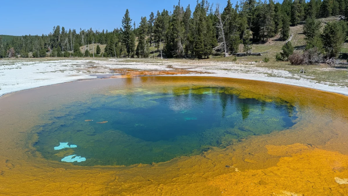 Geyser de Upper Basin