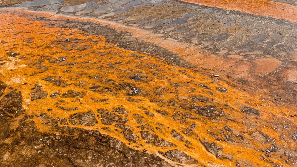 Couleurs cuivrées autour de Grand Prismatic Spring