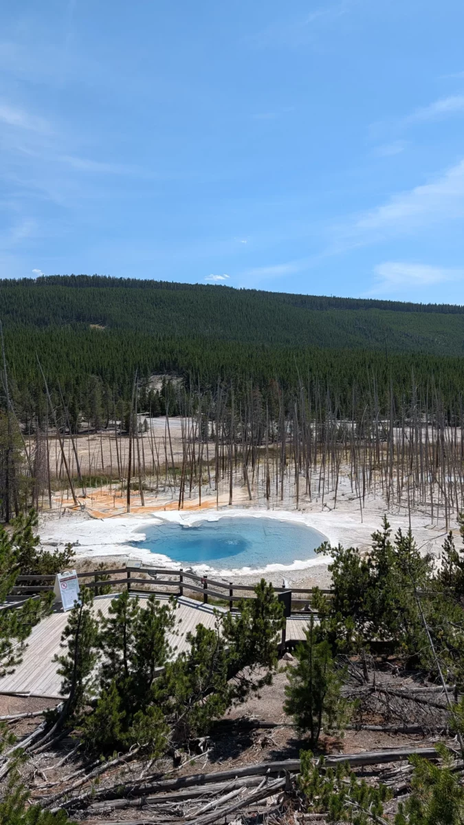 Geyser de Norris Basin