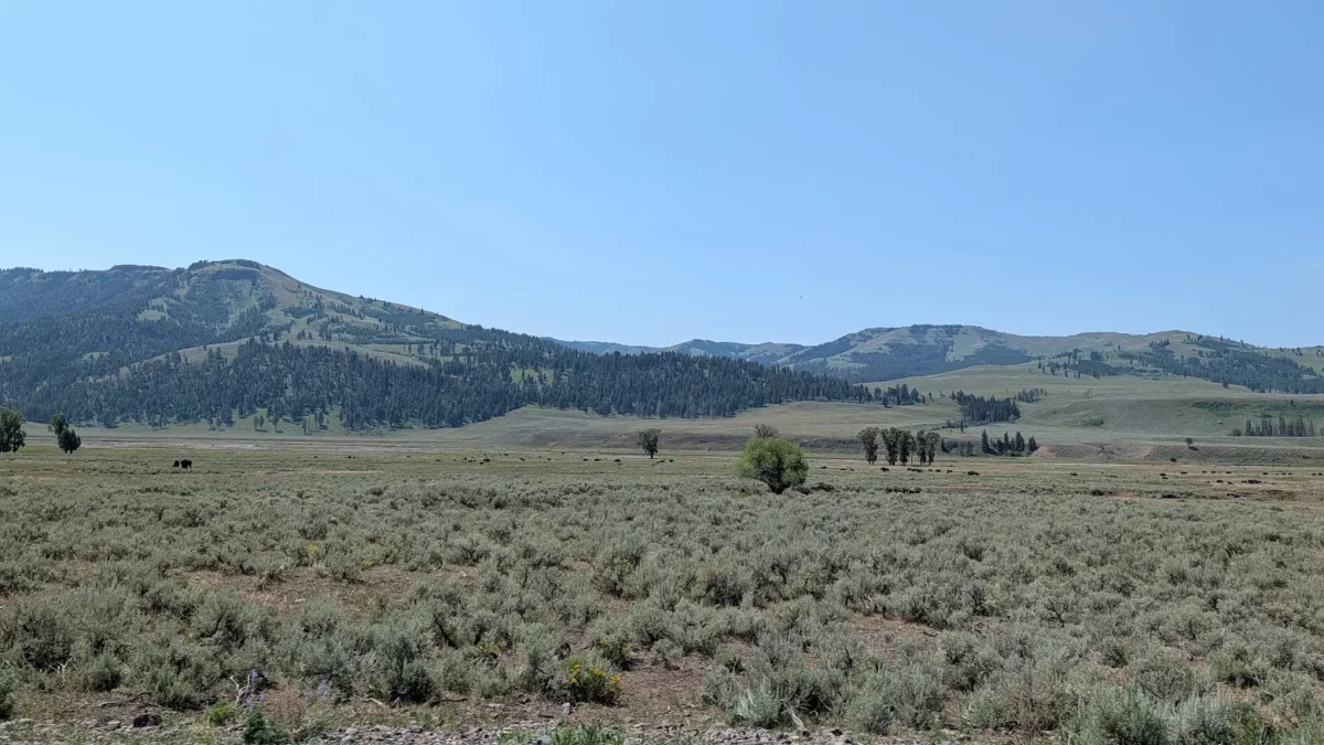 Lamar Valley