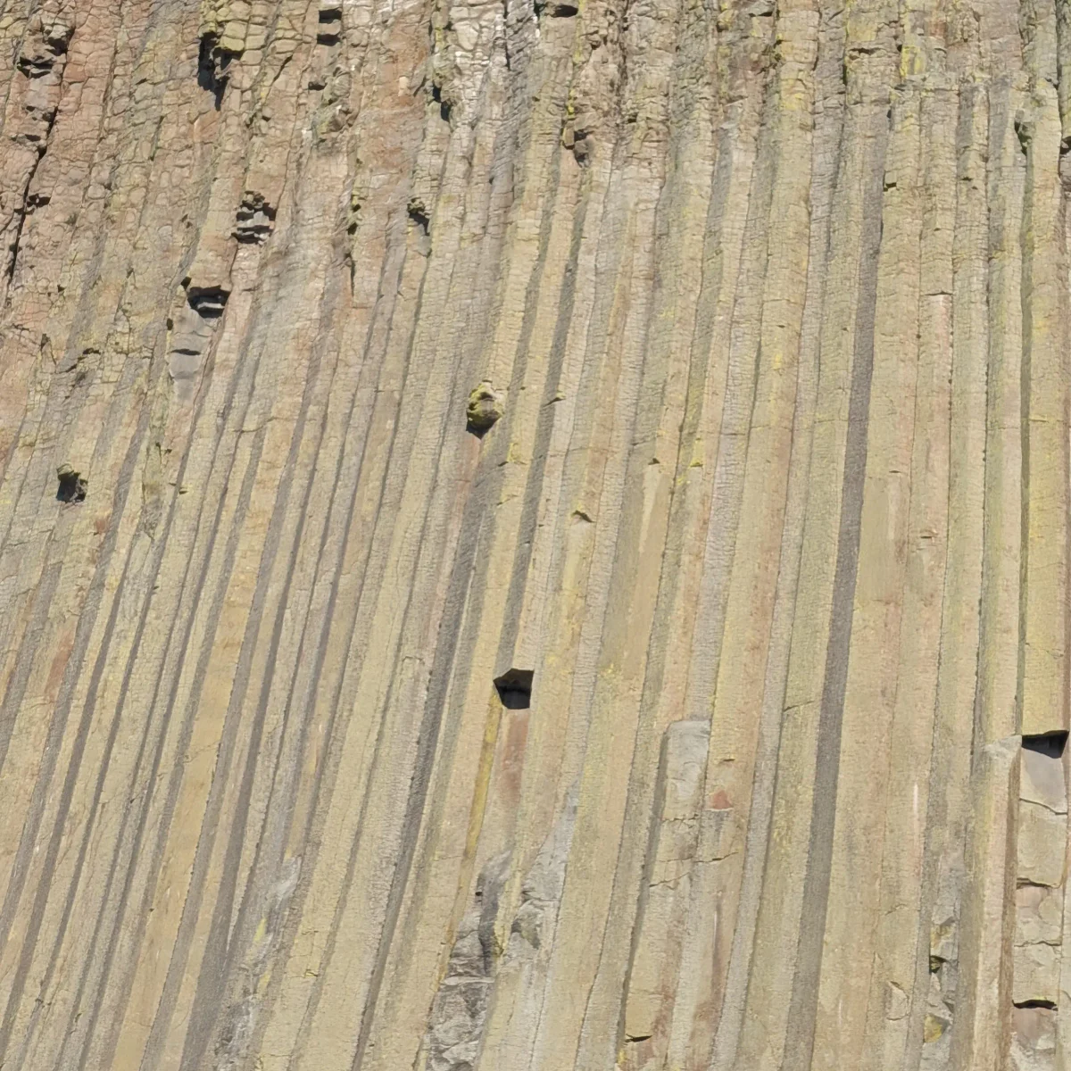 Colonnes sur la paroi de Devils Tower