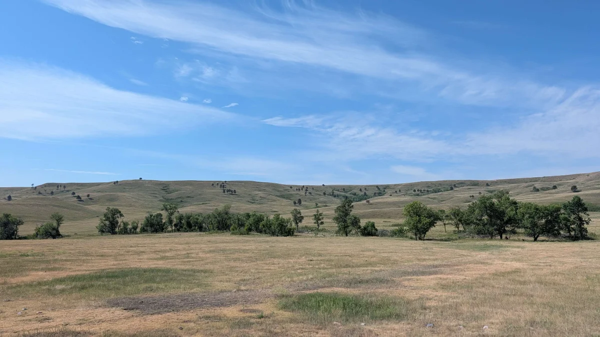Plaines de Custer State Park