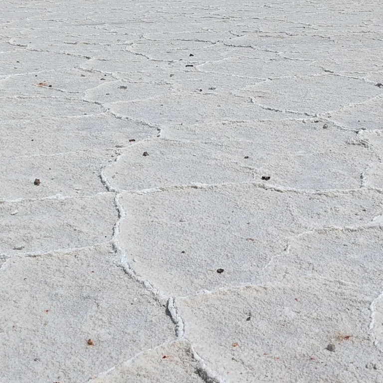 La croute de sel des Bonneville Salt Flats