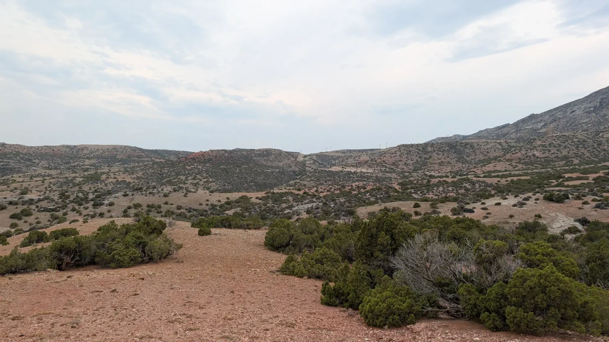 Panorama de Bighorn Recreation Area